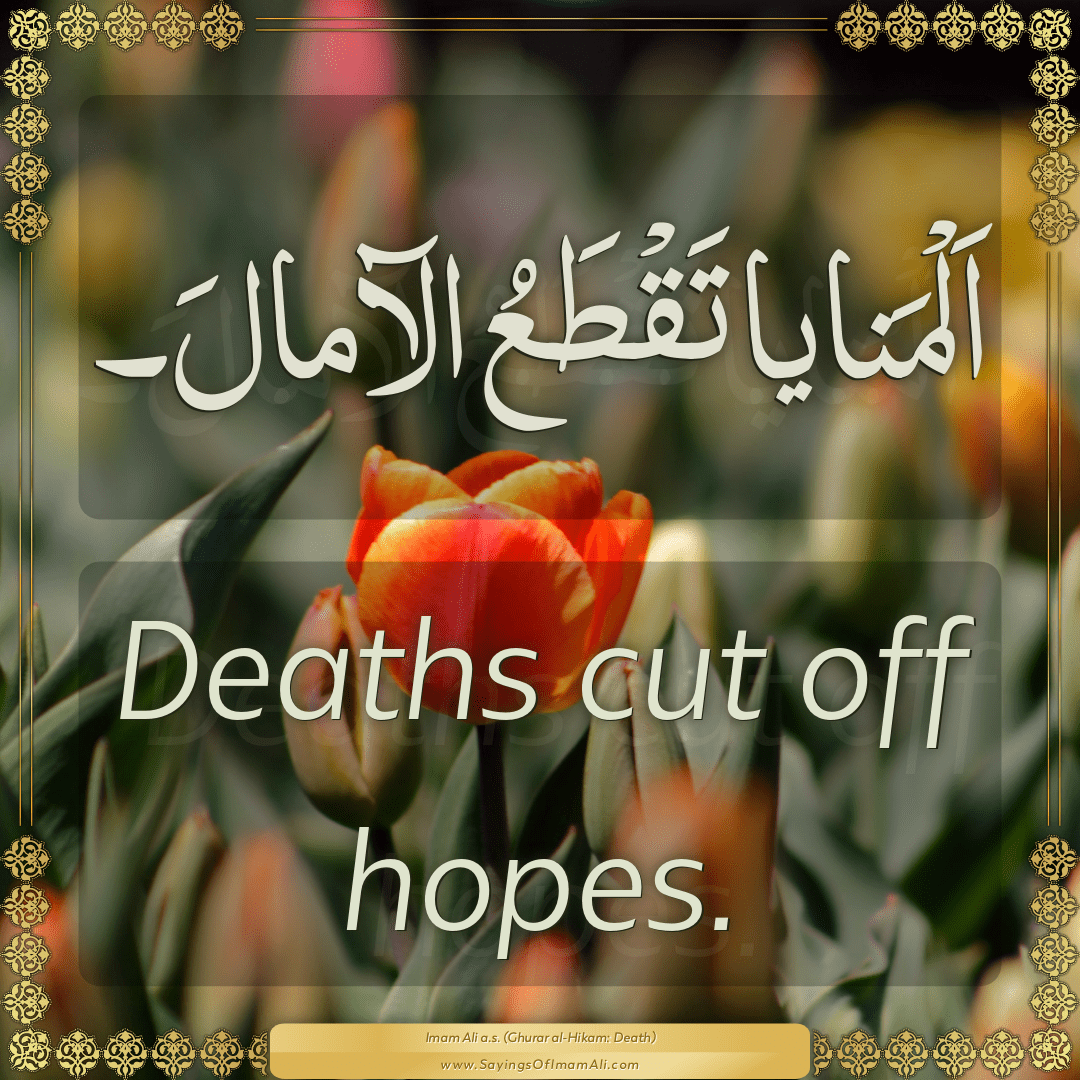 Deaths cut off hopes.